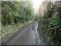 Looking down Penylan Lane near Oswestry