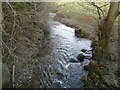 Stream at the valley bottom on Penylan Lane near Oswestry