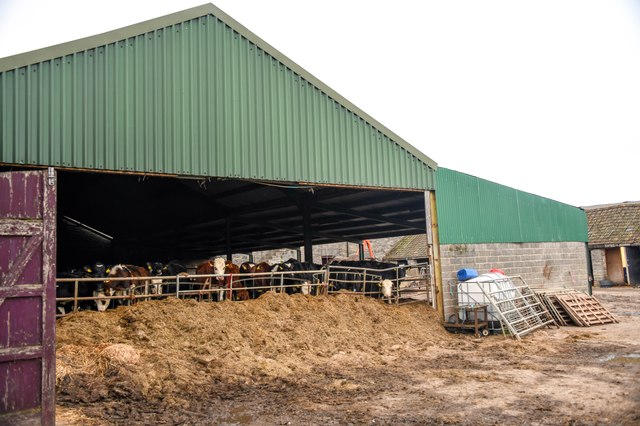 Butleigh : Home Farm - Cow Shed © Lewis Clarke cc-by-sa/2.0 :: Geograph ...