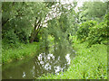 Drain, Leybourne Lakes Country Park