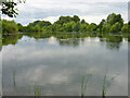 TQ7060 : Larky 2 Lake, Leybourne Lakes Country Park by Robin Webster