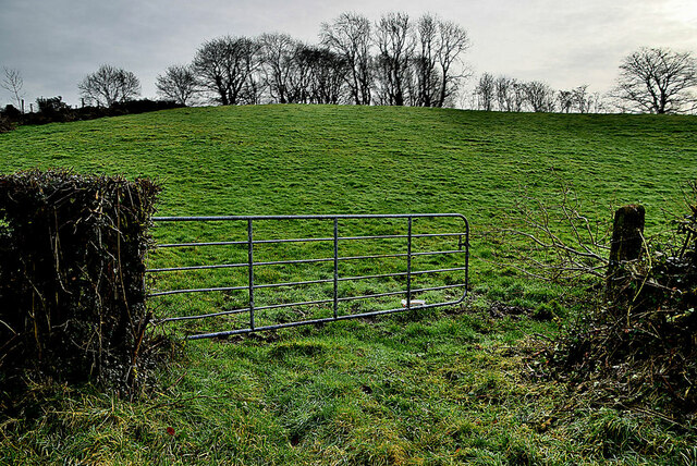 An open field, Mullaghslin Glebe