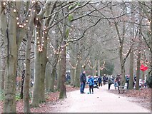 TQ1352 : Polesden Lacey - Winter Woodland Walk by Colin Smith