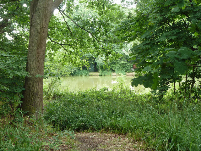 Pond, Cranleigh © Robin Webster :: Geograph Britain and Ireland