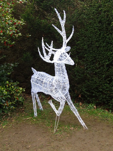 Hatchlands Park Christmas 2023 © Colin Smith Cc By Sa 2 0 Geograph