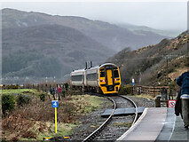 SH6214 : A train for Pwllheli  by John Lucas
