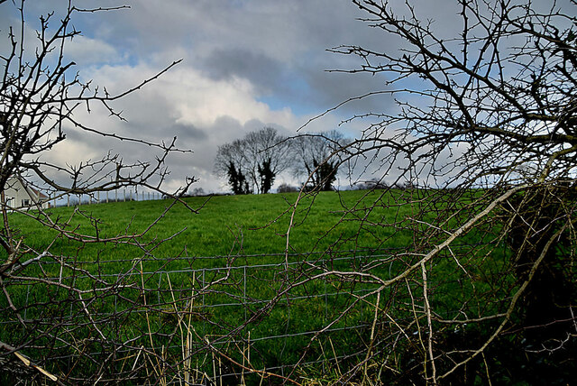 A gap in the hedge along Mullagharn Road