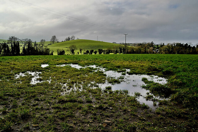A wet field, Dunwish