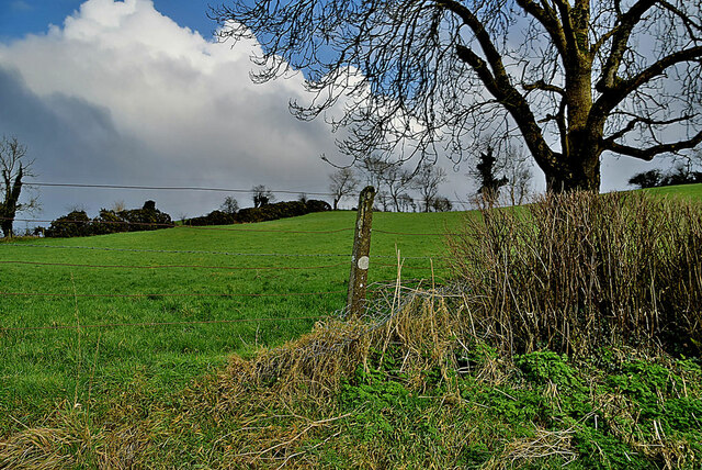 Cloud and tree, Dunwish