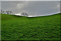 H4074 : Sloping fields, Mullagharn / Dunwish by Kenneth  Allen