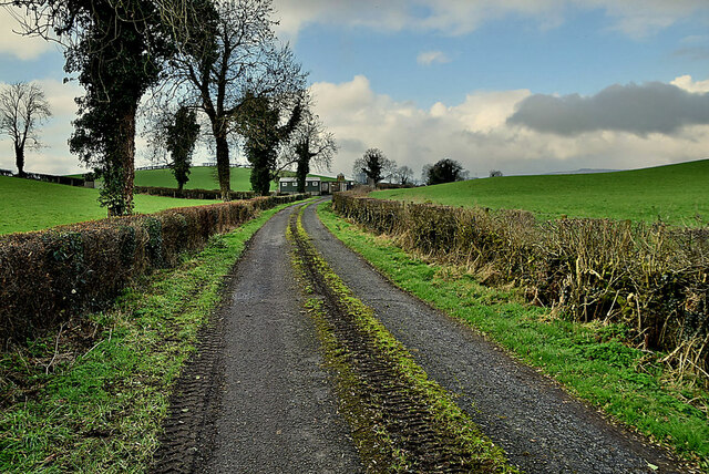 Millbrae Road, Mullagharn / Mullagharn (Young)