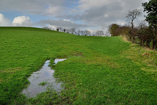Water lying in a field, Mullagharn (Young)