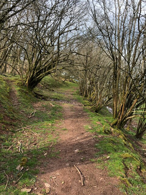 Usk Valley Walk © Eirian Evans Cc-by-sa 2.0 :: Geograph Britain And Ireland