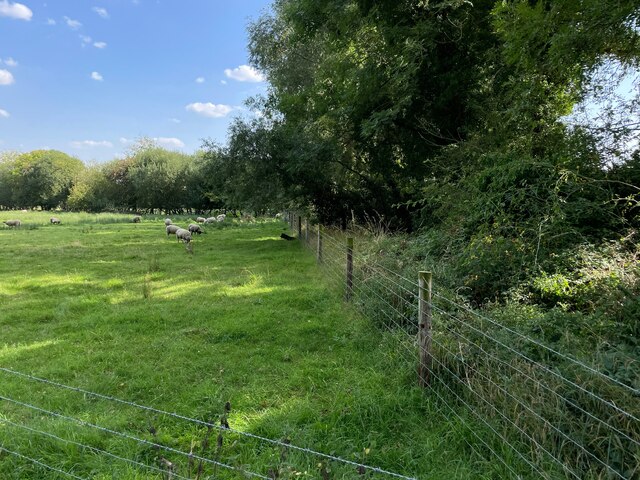 Grazing field - Fulbourn Fen Nature... © Mr Ignavy :: Geograph Britain ...