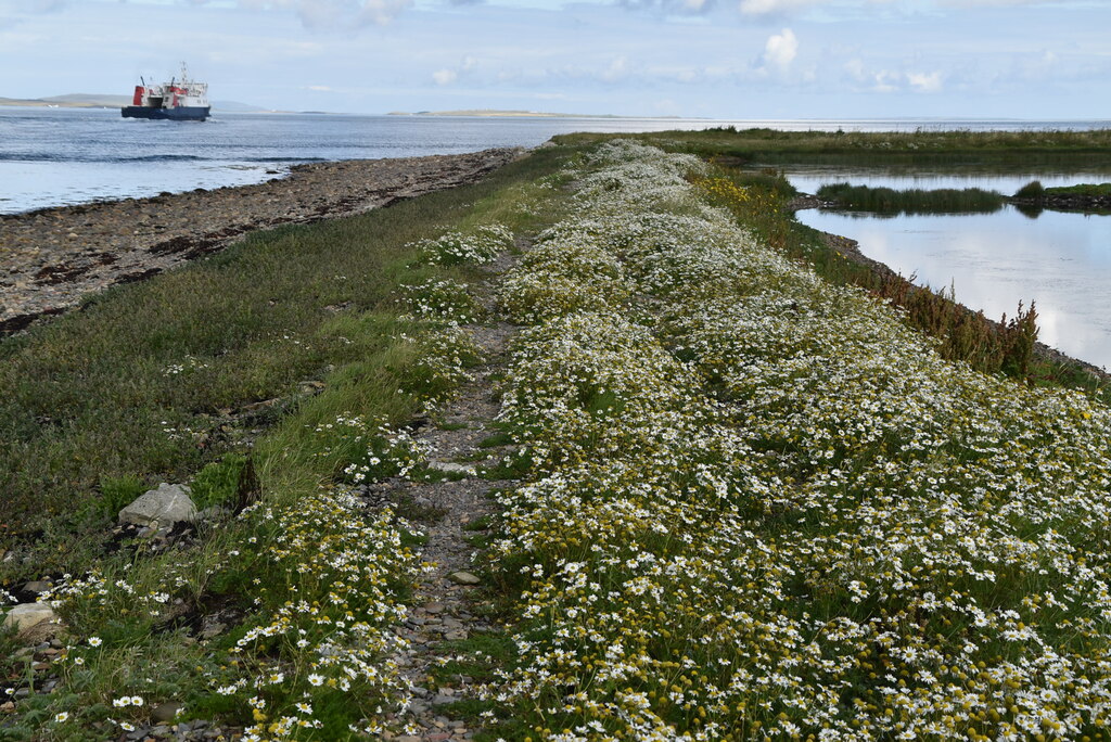 Footpath passing Vasa Loch © N Chadwick cc-by-sa/2.0 :: Geograph ...