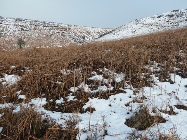 Winter scene, Witshaw Bank © Christine Johnstone cc-by-sa/2.0 ...