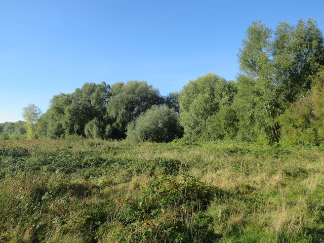 Scrubby area, Fen Drayton Lakes © Hugh Venables :: Geograph Britain and ...