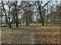 Paths around Fetternear estate