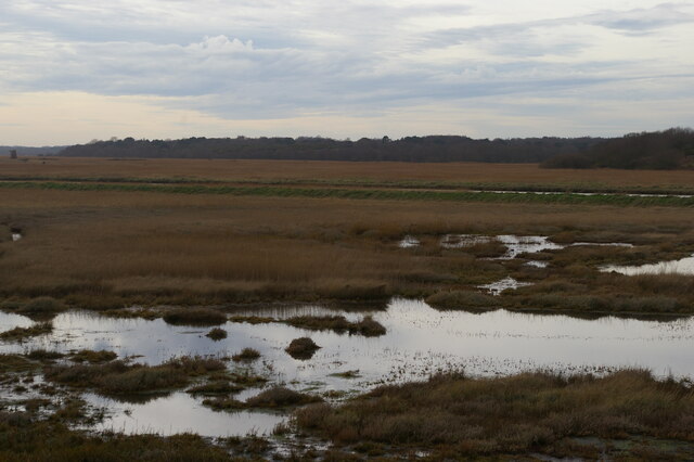 Corporation Marshes, south of... © Christopher Hilton :: Geograph ...