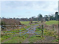 Footpath Hassocks 5K, 2010