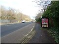 Bus stop and shelter on Howden Road (A187)