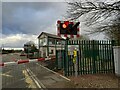 Staythorpe level crossing (1)