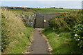 Hide, RSPB Mill Dam