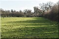 Low Weald pasture