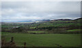 A view from the road between Plas Bedw and Bryn-rhedyn, Pentre-Celyn