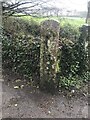 Old Boundary Marker on the B3298 near Killifreth Farm