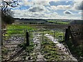 Farmland and gate near Billesdon