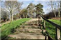 Steps in the Osiers Nature Area