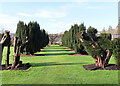 Ellon Castle Garden