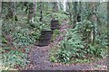 Flights of steps ,Lodge Park