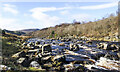 NY8728 : Rocks in and beside the River Tees by Trevor Littlewood