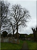 SU2771 : Holy Cross, Ramsbury: churchyard (l) by Basher Eyre