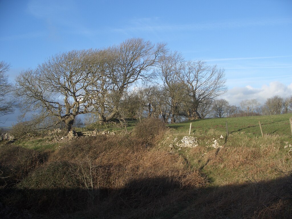 Winter trees and stone wall remains east... © eswales :: Geograph ...