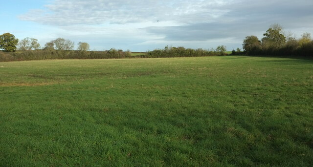 Pasture near Idlicote © Derek Harper cc-by-sa/2.0 :: Geograph Britain ...