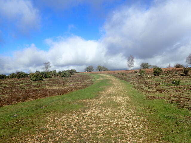 White Moor, New Forest © Marathon :: Geograph Britain and Ireland