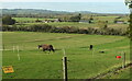 SP2744 : View near Idlicote by Derek Harper