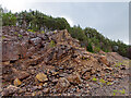 NH7561 : Derelict Learnie Hill Quarry by Julian Paren
