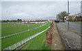 SJ4065 : Chester Racecourse and Nuns Road, Chester by habiloid
