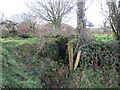 Llwybr Capel Glandwr / Glandwr Chapel path