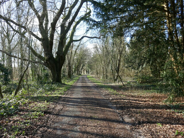 Track to Ossington church © Jonathan Thacker cc-by-sa/2.0 :: Geograph ...