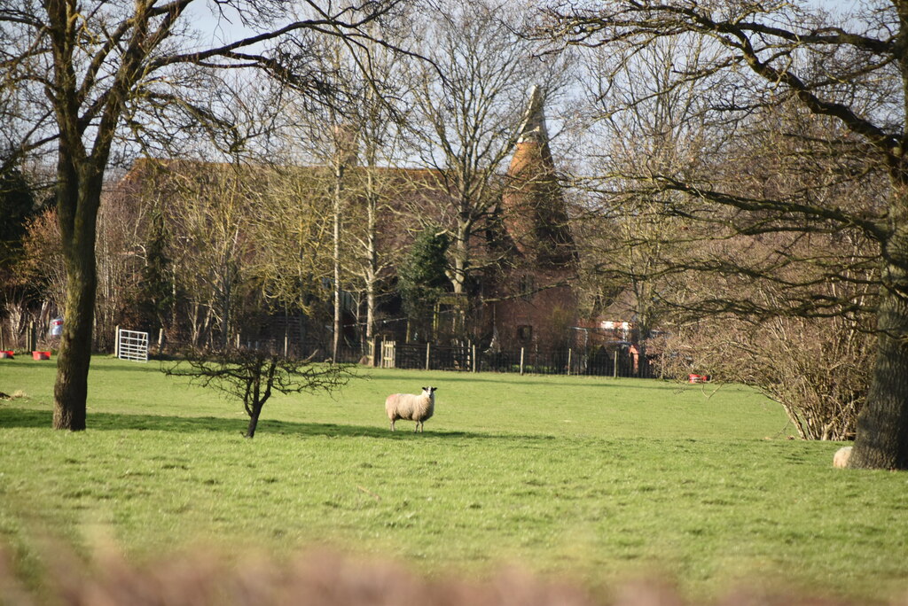 Old Oast © N Chadwick :: Geograph Britain and Ireland