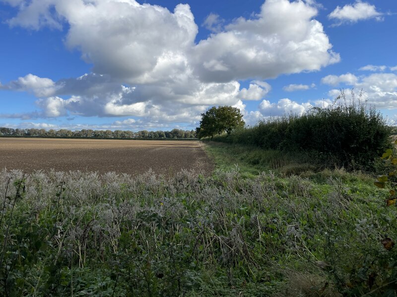 Field boundary east of Malshanger Lane © Mr Ignavy cc-by-sa/2.0 ...