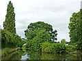 SJ9105 : Staffordshire and Worcestershire Canal south of Coven, Staffordshire by Roger  D Kidd