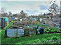 Allotments