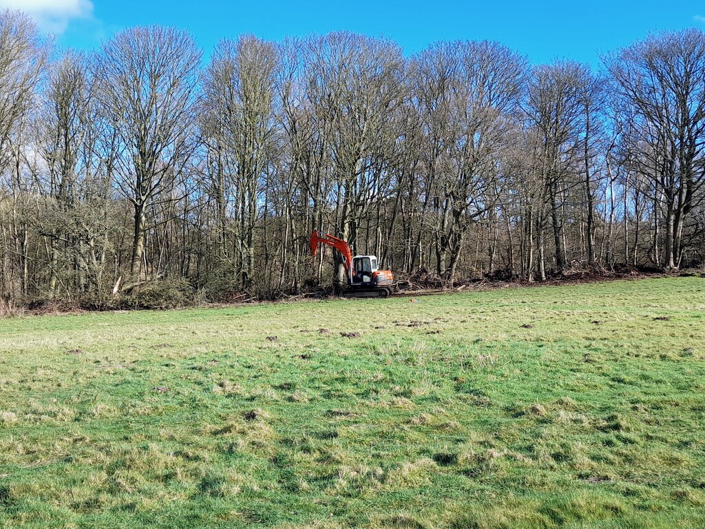 Tidying up the tree line © Ian Calderwood cc-by-sa/2.0 :: Geograph ...