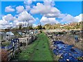 Allotments on the edge of Blidworth